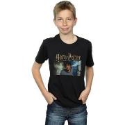 T-shirt enfant Harry Potter Steam Ears