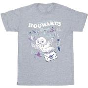 T-shirt enfant Harry Potter BI21044