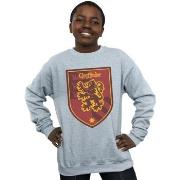 Sweat-shirt enfant Harry Potter BI19483