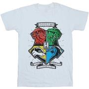 T-shirt enfant Harry Potter Hogwarts Toon Crest