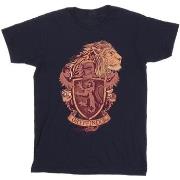 T-shirt enfant Harry Potter BI21244