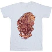 T-shirt enfant Harry Potter Gryffindor Sketch Crest