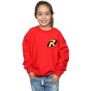 Sweat-shirt enfant Dc Comics BI15370