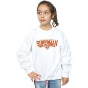 Sweat-shirt enfant Dc Comics My Hero