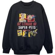 Sweat-shirt enfant Dc Comics DC League Of Super-Pets