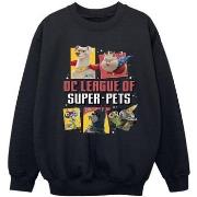 Sweat-shirt enfant Dc Comics DC League Of Super-Pets Profile