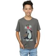 T-shirt enfant Dessins Animés Sylvester Distressed