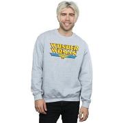 Sweat-shirt Dc Comics BI19461