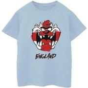 T-shirt enfant Dessins Animés Taz England Face