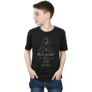 T-shirt enfant Dessins Animés A Wild Hare