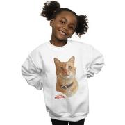 Sweat-shirt enfant Marvel BI14374