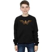 Sweat-shirt enfant Dc Comics Justice League