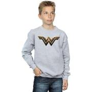 Sweat-shirt enfant Dc Comics Justice League