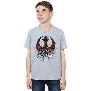 T-shirt enfant Disney The Last Jedi