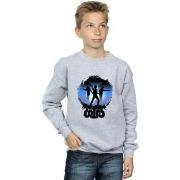 Sweat-shirt enfant Harry Potter BI19656