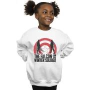 Sweat-shirt enfant Marvel BI18879