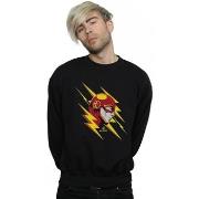 Sweat-shirt Dc Comics BI23359