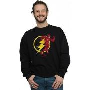 Sweat-shirt Dc Comics BI23375