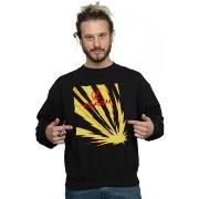 Sweat-shirt Dc Comics BI23392