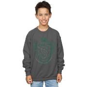 Sweat-shirt enfant Harry Potter BI20038