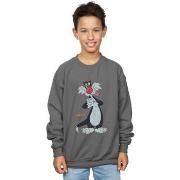 Sweat-shirt enfant Dessins Animés BI23307