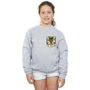 Sweat-shirt enfant Dessins Animés BI23475