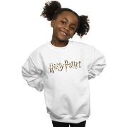 Sweat-shirt enfant Harry Potter Full Colour Logo