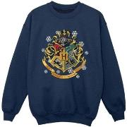 Sweat-shirt enfant Harry Potter BI20395