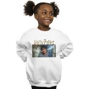 Sweat-shirt enfant Harry Potter BI20491