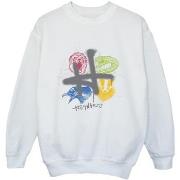 Sweat-shirt enfant Harry Potter Emblems H Spray