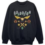 Sweat-shirt enfant Harry Potter Quidditch Bludgers Quaffles