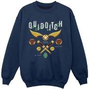 Sweat-shirt enfant Harry Potter Quidditch Bludgers Quaffles