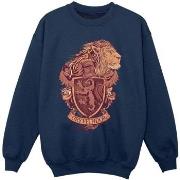 Sweat-shirt enfant Harry Potter BI21063