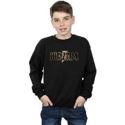 Sweat-shirt enfant Dc Comics BI32801