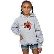 Sweat-shirt enfant Dc Comics Aquaman Brine King