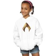 Sweat-shirt enfant Dc Comics BI3132