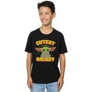 T-shirt enfant Disney The Mandalorian Cutest In The Galaxy