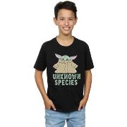 T-shirt enfant Disney The Mandalorian Unknown Species