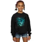 Sweat-shirt enfant Harry Potter BI19810