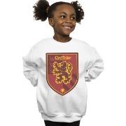 Sweat-shirt enfant Harry Potter Gryffindor Crest Flat