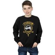 Sweat-shirt enfant Harry Potter Hufflepuff