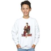 Sweat-shirt enfant Dc Comics BI32803