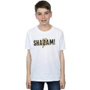 T-shirt enfant Dc Comics Shazam Text Logo