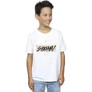 T-shirt enfant Dc Comics Shazam Fury Of The Gods Vandalised Logo