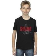 T-shirt enfant Dc Comics Shazam Fury Of The Gods Super Hero Checklist