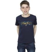 T-shirt enfant Dc Comics Fury Of The Gods