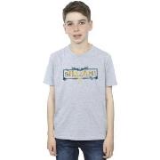 T-shirt enfant Dc Comics Fury Of The Gods