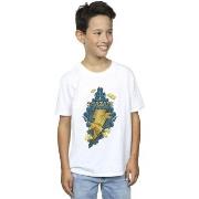 T-shirt enfant Dc Comics BI33729