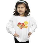 Sweat-shirt enfant Dessins Animés BI23798