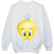 Sweat-shirt enfant Dessins Animés BI23852